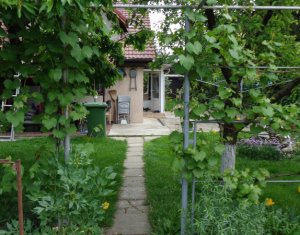 , 240m2 on Cluj-napoca, Zóna Marasti