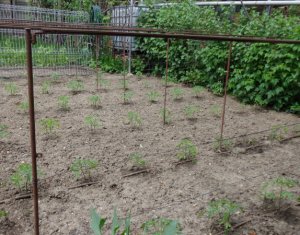 Ház 10 szobák eladó on Cluj-napoca, Zóna Marasti