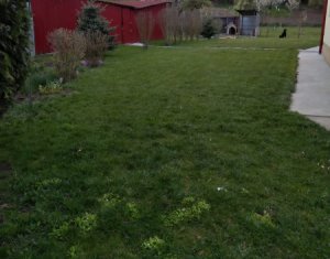 Ház 4 szobák eladó on Visea, Zóna Centru