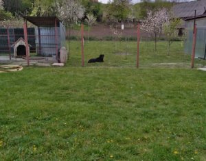 Ház 4 szobák eladó on Visea, Zóna Centru