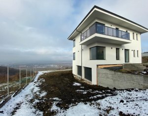 Ház 4 szobák eladó on Dezmir