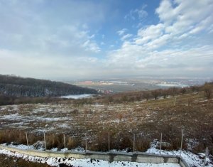 Ház 4 szobák eladó on Dezmir