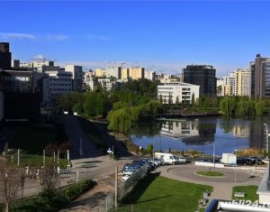 Lakás 1 szobák kiadó on Cluj-napoca, Zóna Intre Lacuri