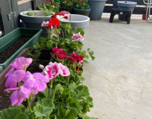 Lakás 2 szobák kiadó on Cluj-napoca