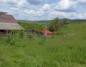 Nyaralók eladó on Caianu