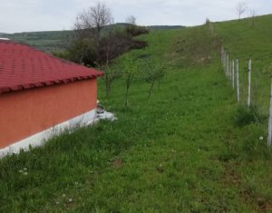 Nyaralók eladó on Caianu