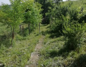 Nyaralók eladó on Caianu