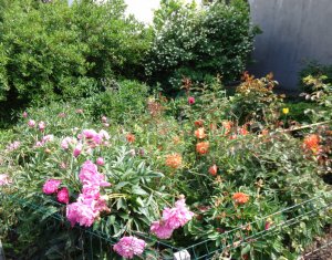 Ház 4 szobák eladó on Cluj-napoca, Zóna Andrei Muresanu