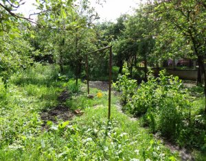 Ház 4 szobák eladó on Cluj-napoca, Zóna Andrei Muresanu