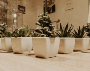 Lakás 2 szobák kiadó on Cluj-napoca, Zóna Centru