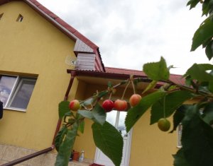 Ház 4 szobák eladó on Jucu De Mijloc