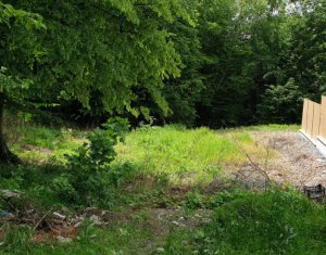 , 1830m2 on Cluj-napoca, Zóna Faget