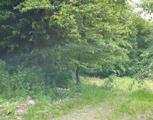 Telek eladó on Cluj-napoca, Zóna Faget