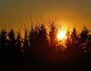 Telek eladó on Feleacu