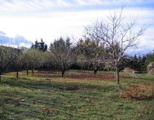 Telek eladó on Feleacu