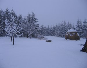 Telek eladó on Feleacu