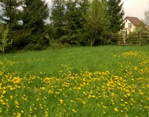 Telek eladó on Feleacu