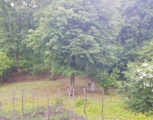 Telek eladó on Cluj-napoca, Zóna Faget