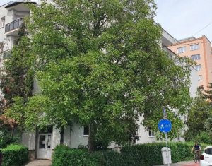 Lakás 2 szobák kiadó on Cluj-napoca, Zóna Grigorescu