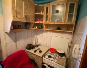 Appartement 1 chambres à vendre dans Cluj-napoca, zone Iris