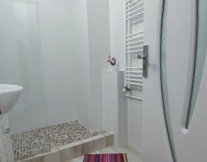 Lakás 1 szobák kiadó on Cluj-napoca, Zóna Grigorescu