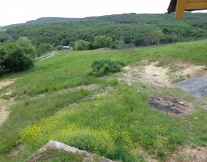 Ház 4 szobák eladó on Feleacu