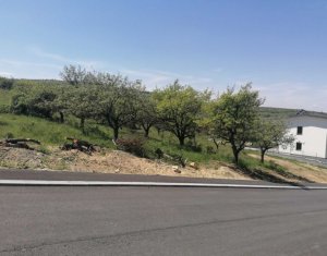 Telek eladó on Cluj-napoca, Zóna Borhanci