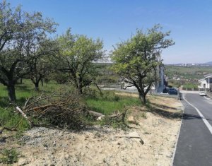 Telek eladó on Cluj-napoca, Zóna Borhanci