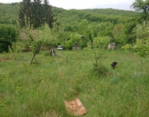 Telek eladó on Feleacu