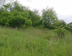 Telek eladó on Feleacu