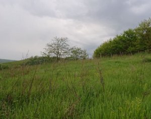 Telek eladó on Feleacu