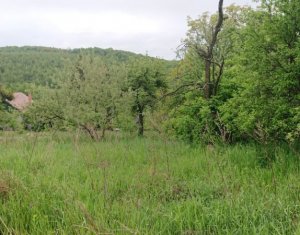 Telek eladó on Feleacu