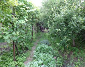 Ház 2 szobák eladó on Cluj-napoca, Zóna Dambul Rotund