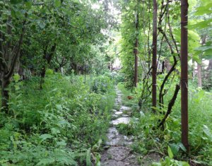 Ház 2 szobák eladó on Cluj-napoca, Zóna Dambul Rotund