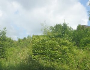 , 1077m2 on Cluj-napoca, Zóna Faget