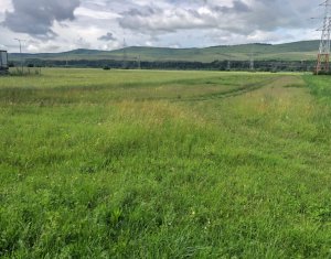 , 1600m2 on Floresti