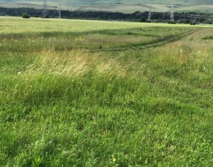 Telek eladó on Floresti