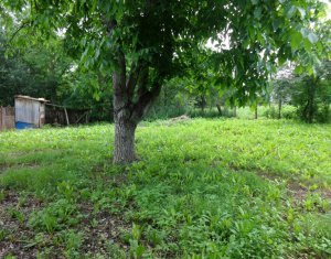 Ház 3 szobák eladó on Jucu De Sus