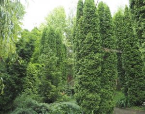 , 1040m2 on Cluj-napoca, Zóna Faget