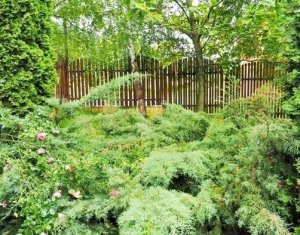 Telek eladó on Cluj-napoca, Zóna Faget