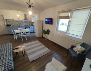 Lakás 2 szobák kiadó on Floresti