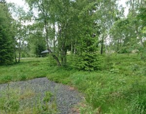 , 8413m2 on Dealu Negru