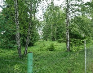 Telek eladó on Dealu Negru