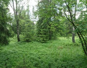 Telek eladó on Dealu Negru