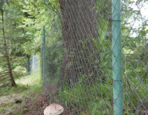 Telek eladó on Dealu Negru