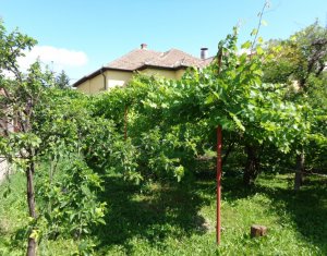 , 155m2 on Cluj-napoca, Zóna Dambul Rotund