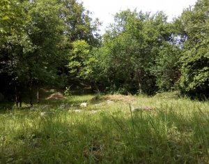 Telek eladó on Cluj-napoca, Zóna Grigorescu