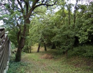 Telek eladó on Cluj-napoca, Zóna Grigorescu