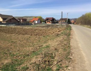 , 5500m2 on Floresti