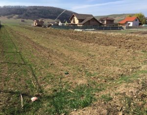 Terrain à vendre dans Floresti
